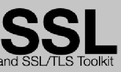 Featured image of post サプライチェーンセキュリティに寄与するコードがOpenSSLにマージされました!