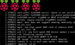 Featured image of post QEMU上のRaspberry Piに嘘ハードウェア乱数生成器を実装する