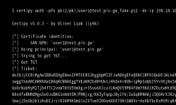 Featured image of post ちょっとマニアックな AD 脆弱性の話: CVE-2025-26647 と altSecurityIdentities